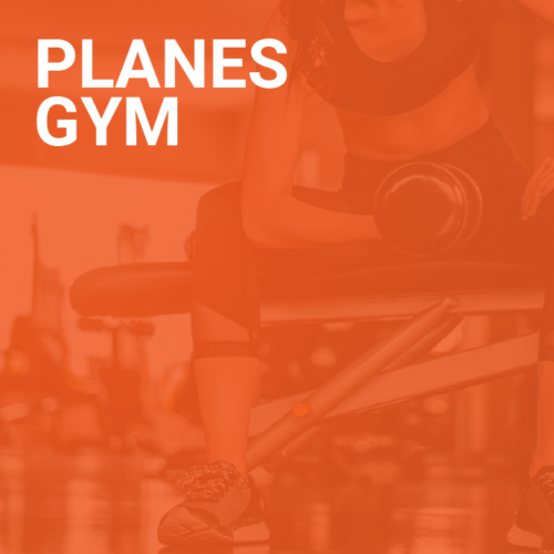 Planes GYM